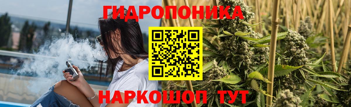 Бошки Шишки MAZAR Норильск